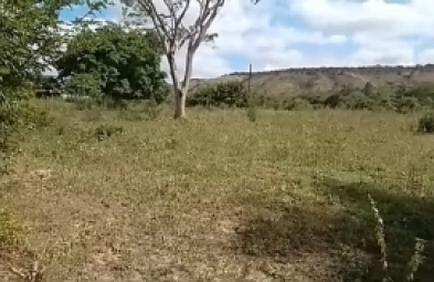 Fazenda para venda em Diamantina